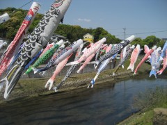 魚影にギョエィ！と驚きます。